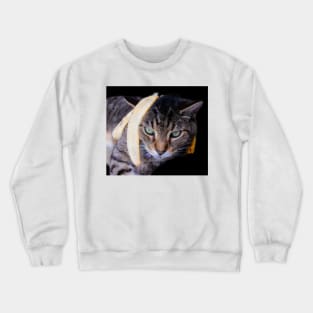 Max the Cat Gone Bananas Crewneck Sweatshirt